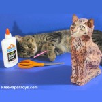 Megabyte the free paper cat